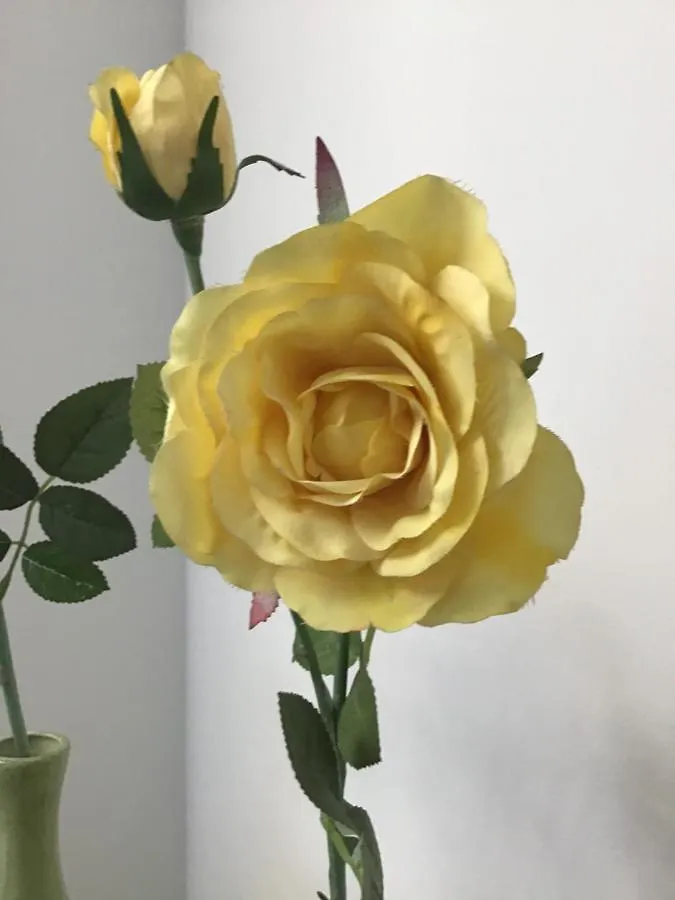 Goldengreen Apartment 크라쿠프